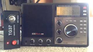 TG 37 SSB BFO Adapter [upl. by Cohla]