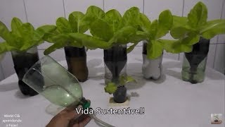 Como plantar Alface  Vaso Auto Irrigável em Garrafa Pet passo a passo [upl. by Meisel]