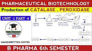 Production of enzymes general consideration  Production of CATALASE PEROXIDASE [upl. by Beale999]