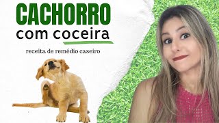 Receita incrível para cachorro com coceira parar de se coçar [upl. by Karen987]