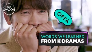 Words we learned from Kdramas ENG SUB [upl. by Aiekram]