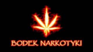 Bodek Narkotyki 34 [upl. by Chancellor]