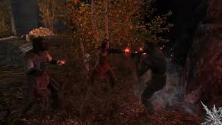 Skyrim Battles  Celann Durak amp Serana vs Nightmaster Vampire amp 2 Nightlord Vampires [upl. by Hasina977]