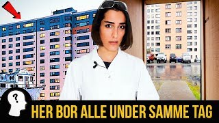 HER BOR ALLE MENNESKER UNDER SAMME TAG [upl. by Elokin]