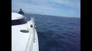 LadyHawke 33  Sailing Testwmv [upl. by Annia633]