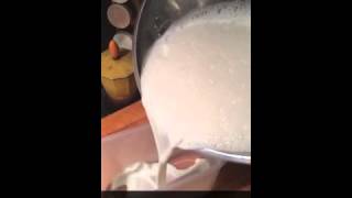 Making Yogourt in the Cuisinart Yogourt Maker [upl. by Hsima]