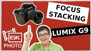 Lumix G9 Focus Stacking for Landscapes [upl. by Nosretep]