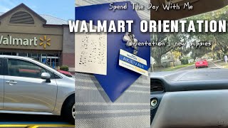 DAY IN A LIFE  WALMART ORIENTATION  OVERNIGHT STOCKER  PLUS NEW PUPPIES  EP 1 [upl. by Dietrich611]