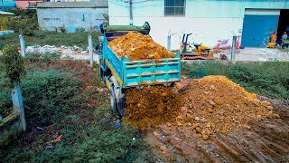 Start a New Project Landfill Up by Bulldozer KOMATSU D20 amp 5Ton Truck Pushing Soils [upl. by Macegan]