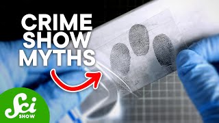 An Intro to Forensics The Science of Crime [upl. by Nonnahs]