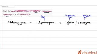 Give the realtionship between cofactor coenzyme apoenzyme and holoenzyme  11  BIOMOLECULES [upl. by Dnalevelc]