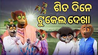 ଶିତ ଦିନେ ଟୁକେଲ ଦେଖା  Sit Dine Tukel Dekha  Sambalpuri Cartoon Comedy  ddk comedy [upl. by Poulter345]