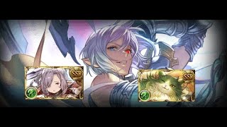 GBF Tower of Babyl 881 Full Auto Sette Grid [upl. by Ellenrahs]