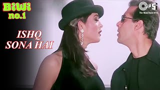 Ishq Sona Hai  Salman Khan amp Sushmita Sen  Shankar Mahadevan amp Hema  Biwi No 1  90s Hindi Songs [upl. by Magner475]