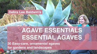 Agave Essentials 30 easycare ornamental agaves for gardens and landscapes [upl. by Liemaj]