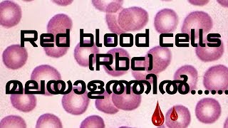 Red blood cells malayalamhaematologyLaboratory Tutour [upl. by Ariait]