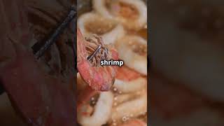 Quick Garlic Butter Shrimp shrimp quickrecipes [upl. by Anairol]