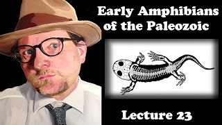 Lecture 23 Early Amphibians of the Paleozoic [upl. by Gnous96]