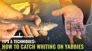 How to Catch Whiting on Bait  Pumping and Fishing Saltwater Yabbies [upl. by Mokas]