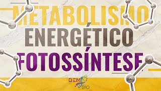 Metabolismo Energético  Fotossíntese  Geral [upl. by Lemuel]