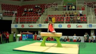 VERBAEYS Jimmy BEL  2016 Olympic Test Event Rio BRA  Qualifications Pommel Horse [upl. by Neret303]