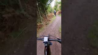 Cannock Chase autumn bike ride [upl. by Oby528]