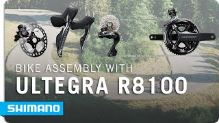 BIKE ASSEMBLY FEAT ULTEGRA R8100 GROUPSET  SHIMANO [upl. by Ecirual]