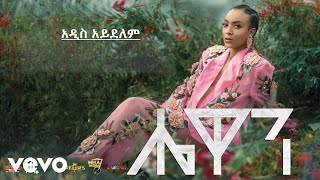 Hewan Gebrewold  Addis Aydelem Official Audio [upl. by Robb]