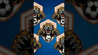 Os tigres FC [upl. by Connolly641]