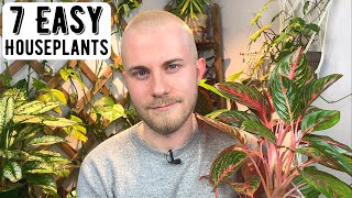 7 Easy Houseplants I Would Recommend To Everyone [upl. by Hsirrehc402]