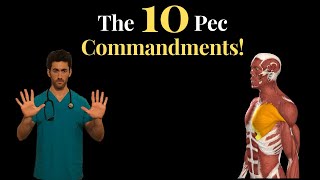 The 10 Pec Commandments How to Fill Out All Sections of Your Chest [upl. by Sonahpets]