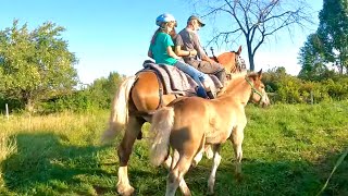 GOING FOR A RIDE WITH LADY amp BREE  Riding Draft Horses 525 [upl. by Reine75]