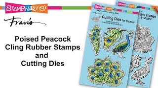 Poised Peacock Cling Rubber Stamps and Cutting Dies [upl. by Henrie]