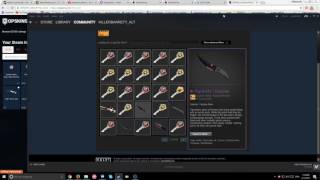 OPSKINS BOT SCAM NOT ACTUALLY OPSKINS [upl. by Timmi]