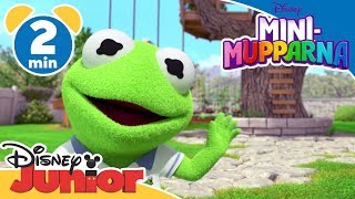 MiniMupparna  MiniMupparnas trädkoja 🌳 Disney Junior Sverige [upl. by Gilbart]