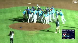 Amarillo wins Texas League championship [upl. by Matusow320]