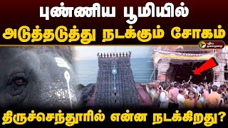 புண்ணிய பூமியில் அடுத்தடுத்து நடக்கும் சோகம் என்ன நடக்கிறது திருச்செந்தூரில்  Thiruchendur  PTD [upl. by Notsob305]