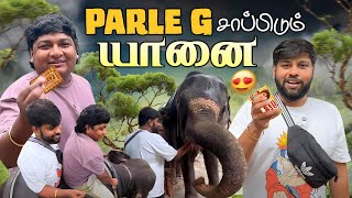 வயச பத்தி பேசாதீங்கடா ஏன் டா 😂  Munnar trip Ep05  GoSu Vlogs [upl. by Oyek]