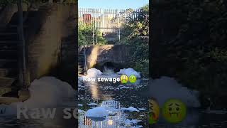 Sewage dumping on uk canal [upl. by Vallo]