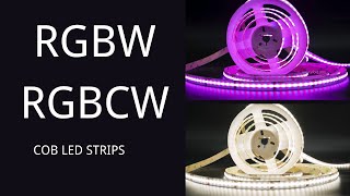 RGBW vs RGBWW COB LED Strips Lights  Can you find difference [upl. by Lasyrc]