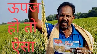 J K 2082 Dhan ऊपज बेमिसालPlot VisitKisan Shree [upl. by Enyalb47]