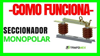 SECCIONADOR Eléctrico MONOPOLAR ⚡ ¿Qué es una CUCHILLA o Seccionador ELÉCTRICO 🔥🔥🔥 [upl. by Reichel]