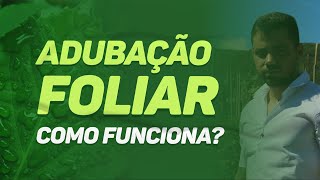 Adubação foliar  Como funciona [upl. by Ferrick]