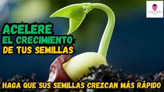 ¡Acelera la Germinacion de tus Semillas Descubre los Secretos [upl. by Dlaner621]