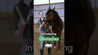 Working Equitation Training [upl. by Jacquelynn]