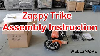 zappy trike assembly instruction [upl. by Camile]