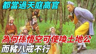 都當過天庭高官，為何孫悟空可以隨意使喚土地公，而豬八戒不行？【縱觀千秋】歷史歷史故事歷史人物史話館歷史萬花鏡奇聞歷史風雲天下 [upl. by Kolk]