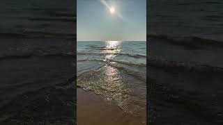 Lake Michigan near Pentwater MI  Early August 2024 [upl. by Ettelracs]