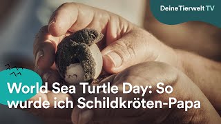 World Sea Turtle Day So wurde ich SchildkrötenPapa [upl. by Adnilram]