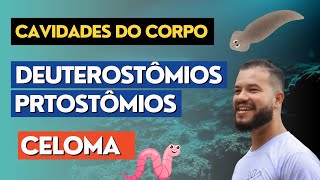 Cavidades do Corpo e a Divisão dos Animais Protostômios vs Deuterostômios [upl. by Gianina]